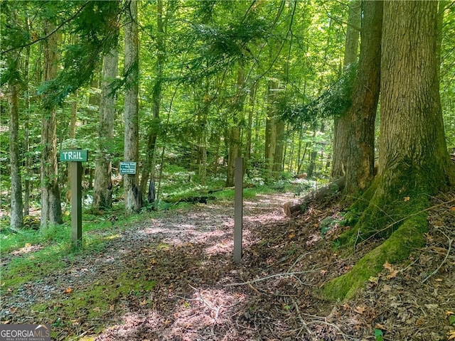 view of local wilderness