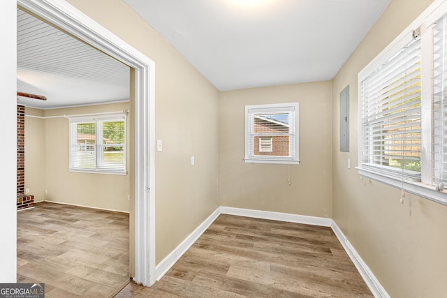 interior space featuring a wealth of natural light and light hardwood / wood-style floors