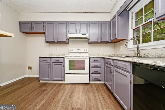 kitchen with gray cabinetry, black dishwasher, sink, white electric stove, and light hardwood / wood-style floors