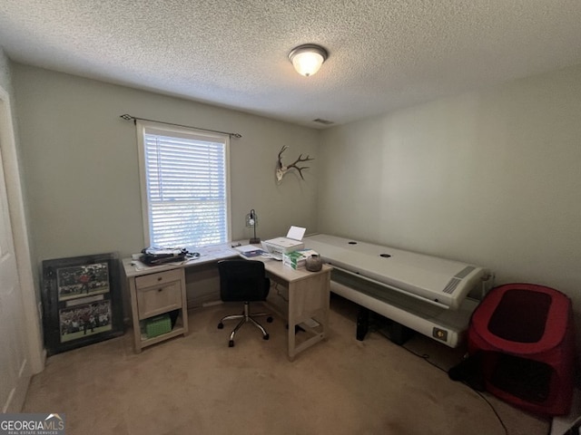 office area featuring a textured ceiling and light colored carpet