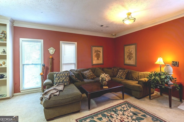 carpeted living room featuring crown molding and a textured ceiling