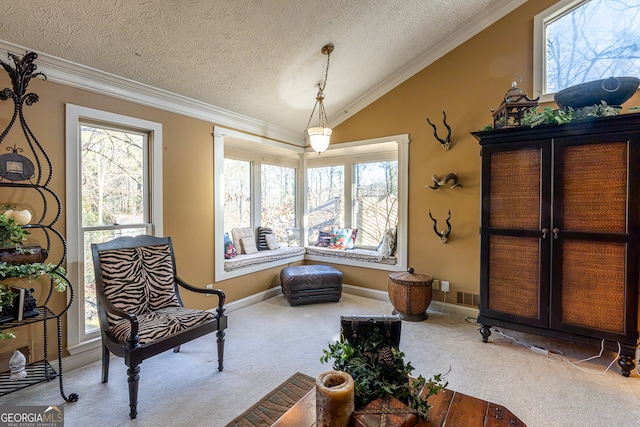 living area featuring carpet, lofted ceiling, a textured ceiling, and ornamental molding