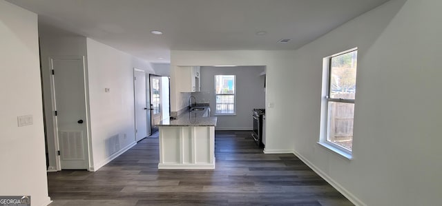 kitchen featuring white cabinets, dark hardwood / wood-style flooring, plenty of natural light, and sink