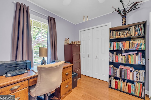 office with crown molding and light wood-type flooring