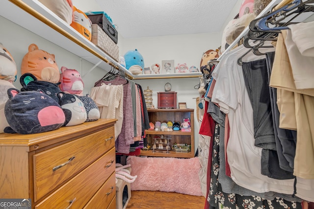 walk in closet featuring hardwood / wood-style floors