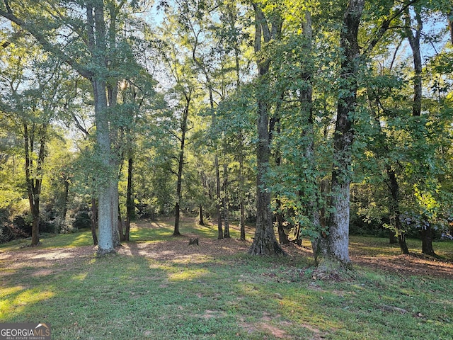 view of local wilderness