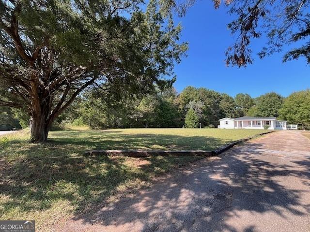 view of yard with a forest view and driveway