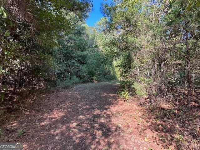 view of local wilderness