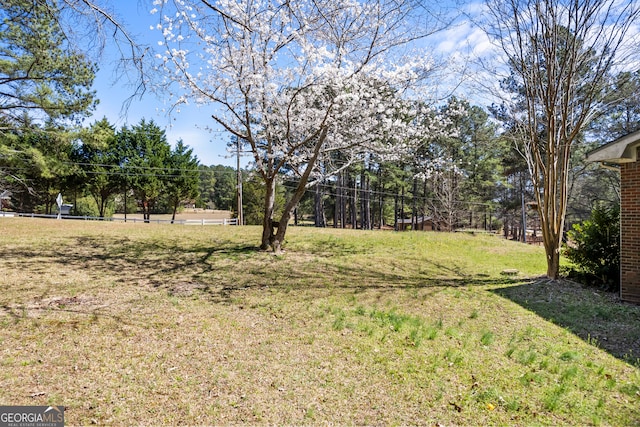 2420 Green Rd, Loganville, GA 30052 - view of yard