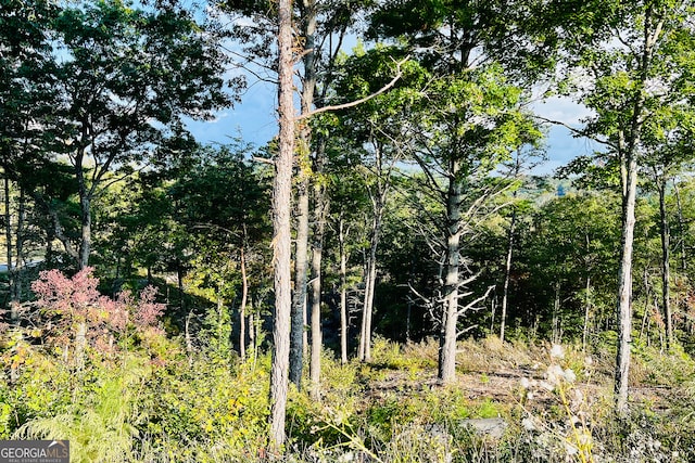 Listing photo 2 for LOT17 Mountain Laurel Rdg, Mineral Bluff GA 30559