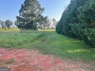 41 Crabapple Dr, Hawkinsville GA, 31036 land for sale