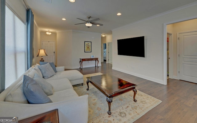 living room featuring ceiling fan, wood-type flooring, and ornamental molding