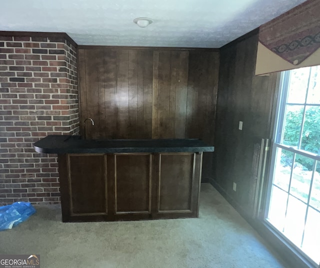 bar featuring light carpet, dark brown cabinetry, and wooden walls