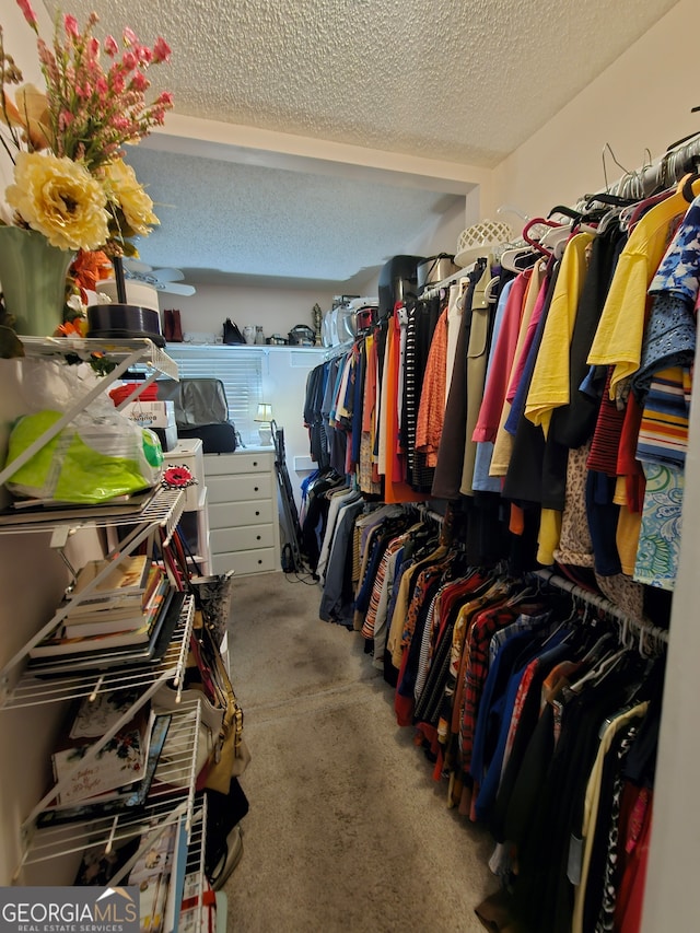 spacious closet with carpet flooring