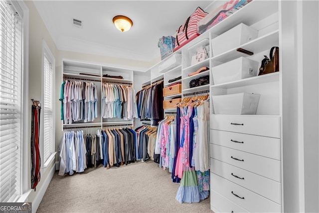 spacious closet featuring light colored carpet