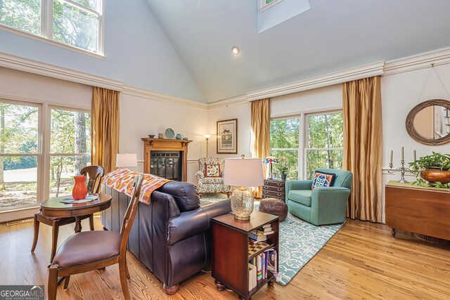 living room featuring high vaulted ceiling, plenty of natural light, and light hardwood / wood-style flooring