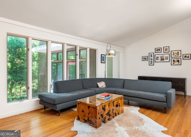 living room with crown molding, vaulted ceiling, hardwood / wood-style flooring, and a healthy amount of sunlight