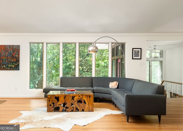 living room with light hardwood / wood-style floors, a notable chandelier, and plenty of natural light