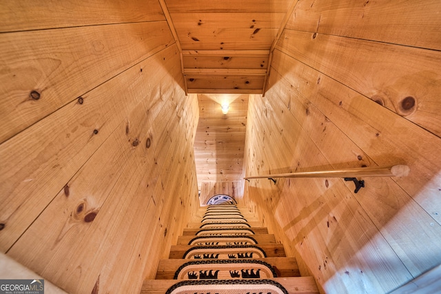 staircase featuring wood walls