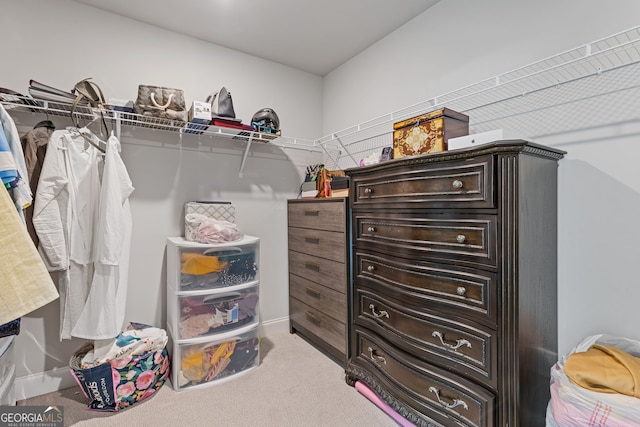 walk in closet featuring carpet floors