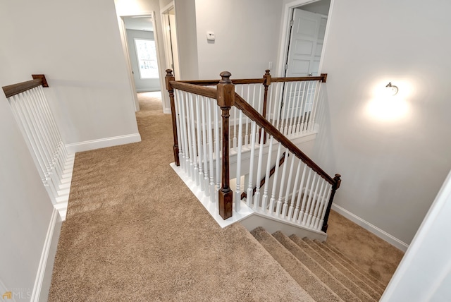 stairway with carpet floors