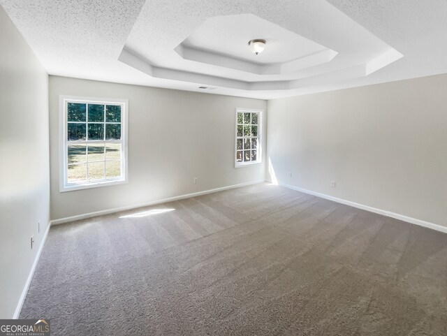 spare room with a healthy amount of sunlight, carpet, and a raised ceiling