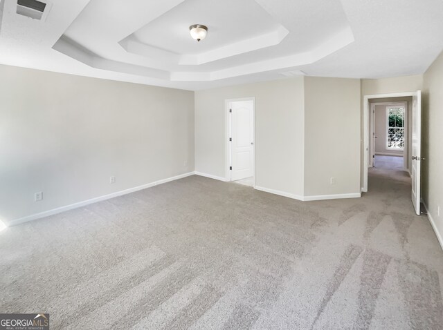 spare room with light colored carpet and a tray ceiling