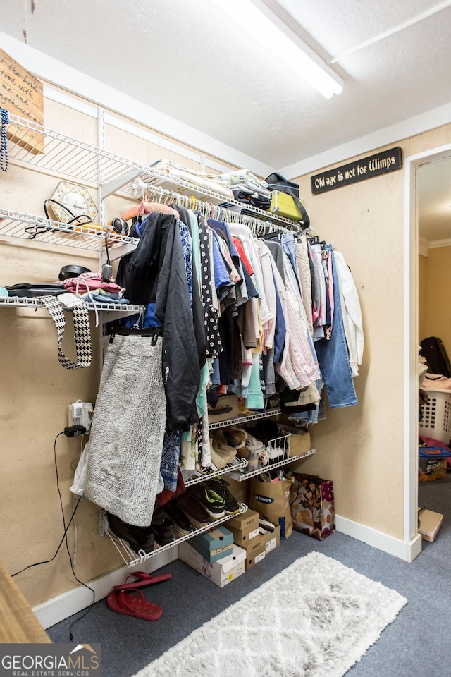 5605 Ga Highway 121, Blackshear, GA 31516 - walk in closet featuring carpet flooring