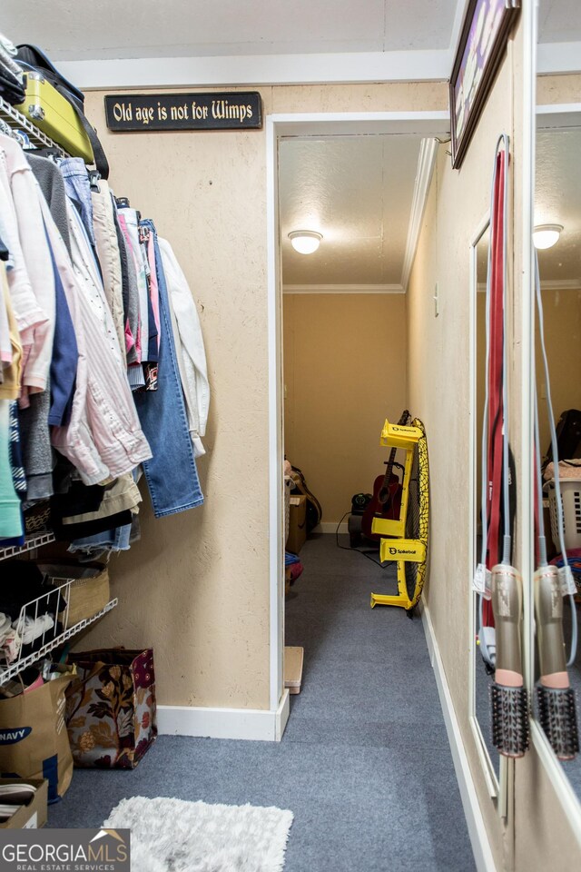 5605 Ga Highway 121, Blackshear, GA 31516 - walk in closet featuring carpet floors