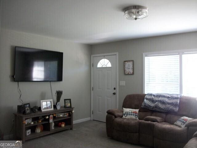 living room with carpet