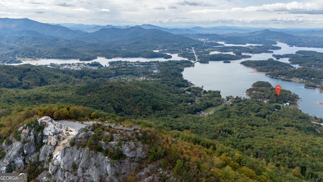 drone / aerial view with a water and mountain view