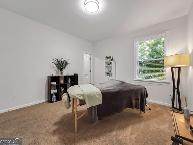 carpeted bedroom featuring multiple windows