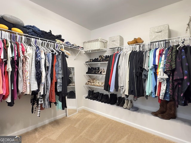 spacious closet with carpet flooring