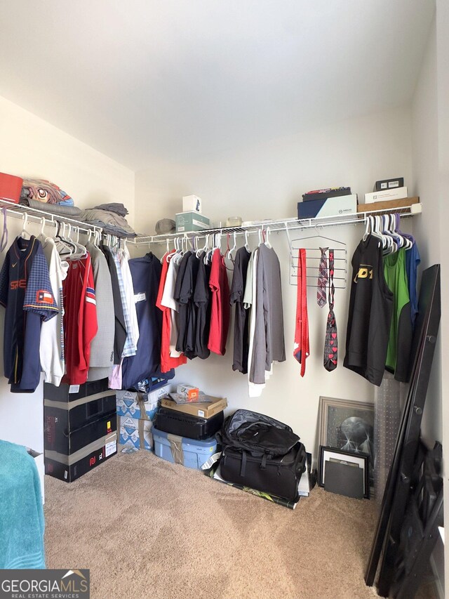 walk in closet with carpet