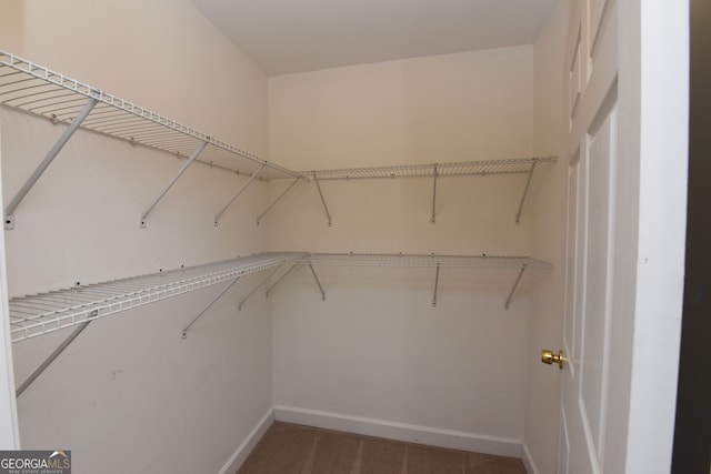 view of walk in closet