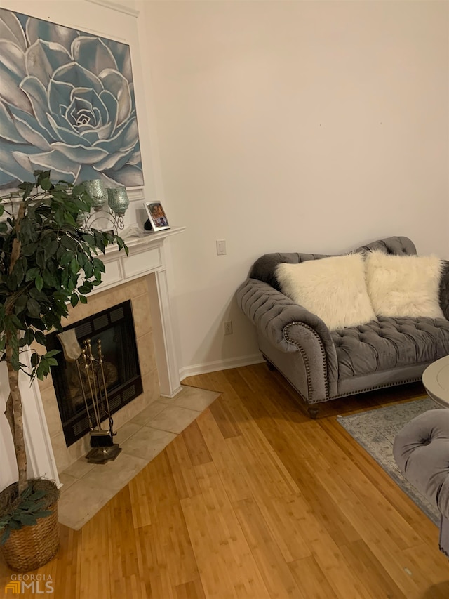 living room with a fireplace and wood-type flooring