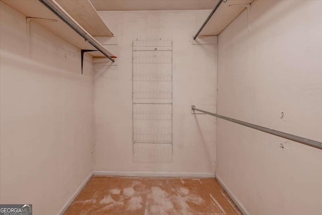 walk in closet with light colored carpet