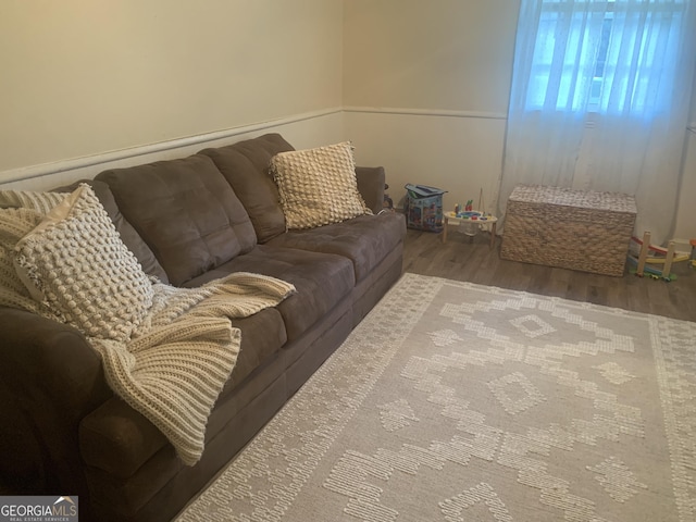 living room with hardwood / wood-style flooring