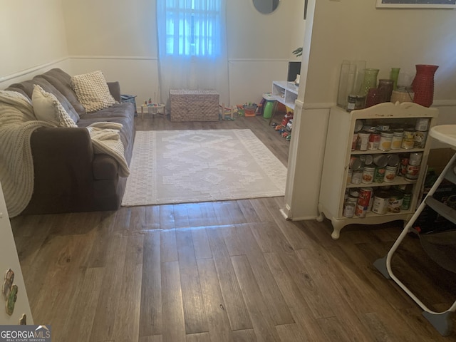 living room with wood-type flooring