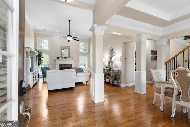 living room with ceiling fan, crown molding, and dark hardwood / wood-style floors