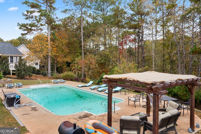 view of swimming pool with a patio