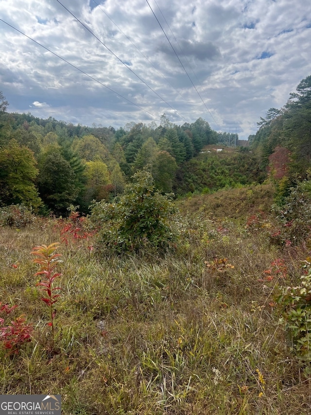 Listing photo 2 for TBD John Taylor Rd, Murphy NC 28906