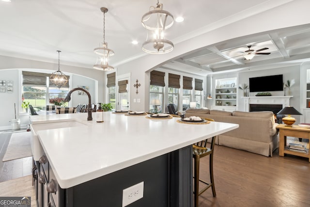 kitchen with a healthy amount of sunlight, wood-type flooring, and an island with sink