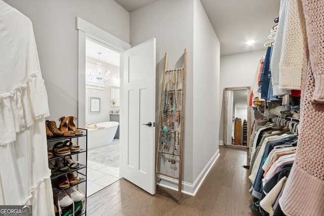 spacious closet featuring hardwood / wood-style floors