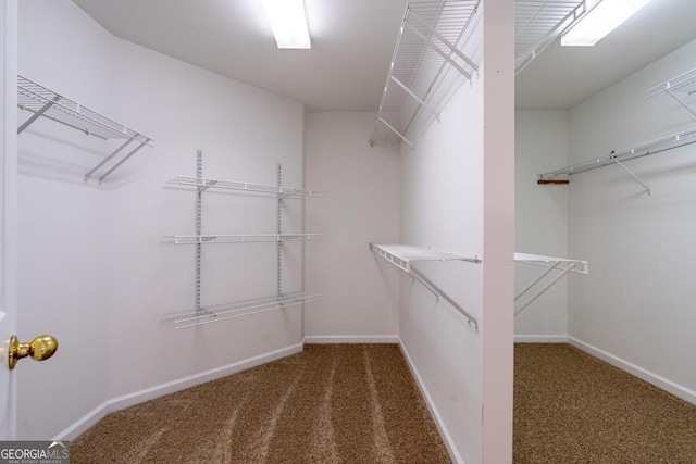 walk in closet featuring dark carpet