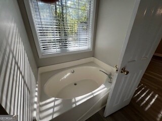 bathroom featuring hardwood / wood-style floors and a bath