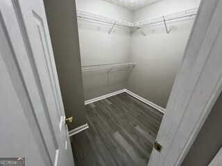 spacious closet with dark hardwood / wood-style flooring