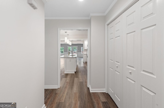 corridor featuring dark hardwood / wood-style floors, ornamental molding, and sink