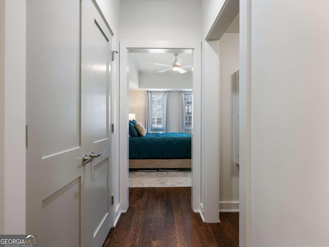 hallway featuring dark wood-type flooring