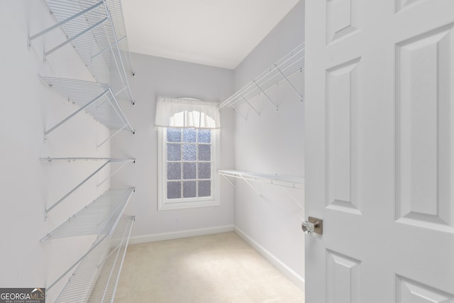 spacious closet with light carpet